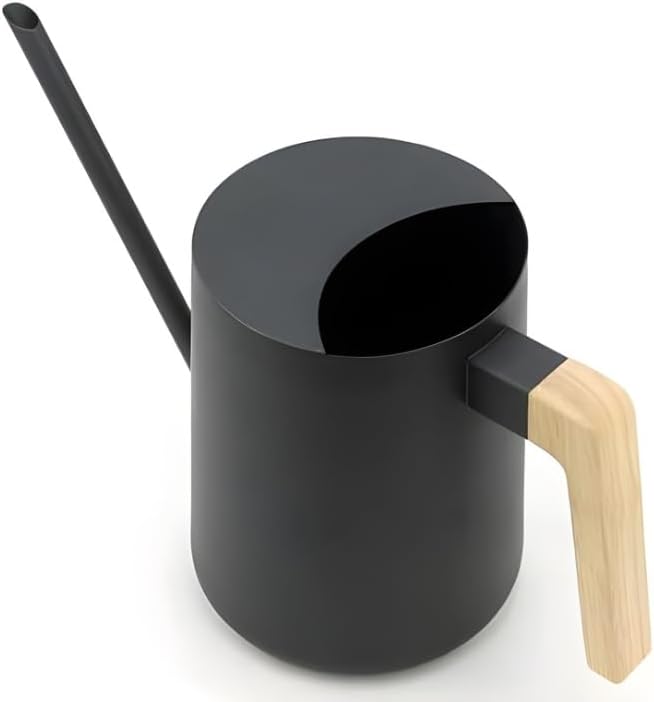 Watering Can for Indoor Plants, 33 oz/1 Liter Metal Stainless Steel Pot with Long Spout for House Plants (Matte Black)