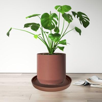 2 Pack Ceramic Plant Saucer Pot Tray 6 Inch, Planter Saucers 4 5 6 7 8 9 10 11 12 13 Inch for Indoors Outdoor, Durable Sturdy Flower Drainage drip Water Tray for Glazed Pots Base (6.4 Inch-Brown)