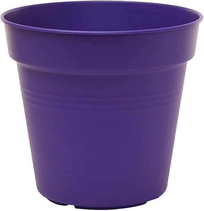 Mintra Home Garden Pots 4pk - Flowers, Herbs, Plants, Indoor, Outdoor, Colorful, Wholesale, Bulk (Purple, 19cm Diameter (7.5in))