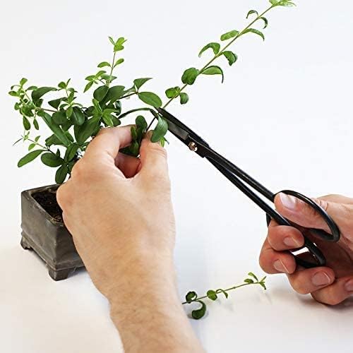 Hanafubuki Wazakura Twig Bonsai Scissors Made in Japan 7inch(180mm), Japanese Bonsai Garden Tools, Hasami Pruning Shears - Black