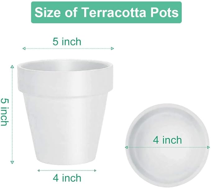 vensovo White Terracotta & Clay Pots with Saucer - 6 Pack 5 Inch Terra Cotta Pot Ceramic Pottery Planter Cactus Flowerpots Drainage Hole, Great for Plants, Crafts and Wedding Favor