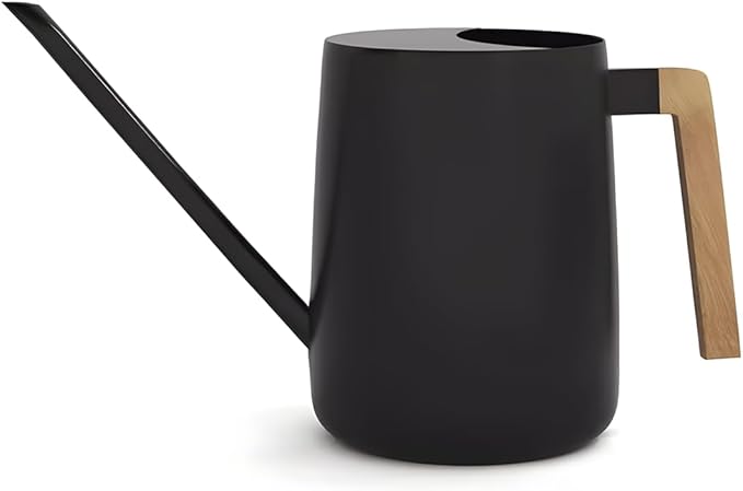 Watering Can for Indoor Plants, 33 oz/1 Liter Metal Stainless Steel Pot with Long Spout for House Plants (Matte Black)