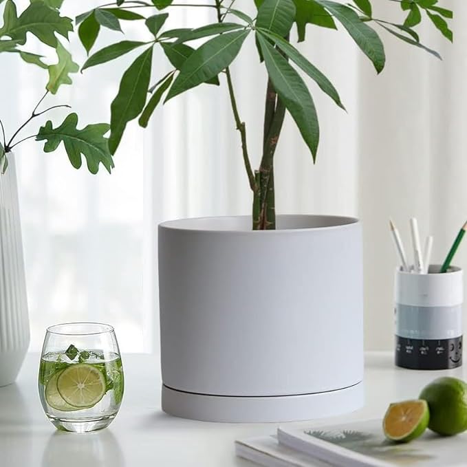 Plant Saucer Pot Tray Planter Saucers 4 Pack 4 in,5 6 7 8 9 10 11 12 13 Inch for Indoors Outdoor, Durable Sturdy Ceramic Flower Drainage drip Water Tray for Glazed Pots Base (4 Inch-White)