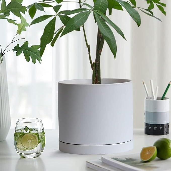 Ceramic Plant Saucer Pot Tray 6、8、10 Inch White, Planter Saucers for Indoors Outdoor, Durable Sturdy Flower Drainage drip Water Tray for Glazed Pots Base