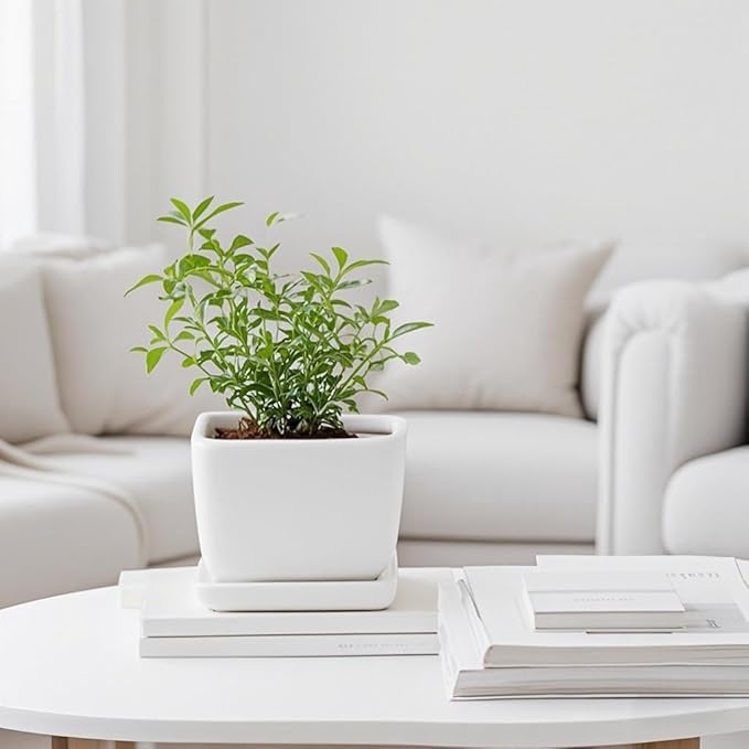 Square Plant Saucer 4 Inch 2 Pack，Plant Trays for Pots, White Ceramic Plant Saucers for Indoors Outdoors, Plant Drip tray 4 6 8 10 12 14 Inch