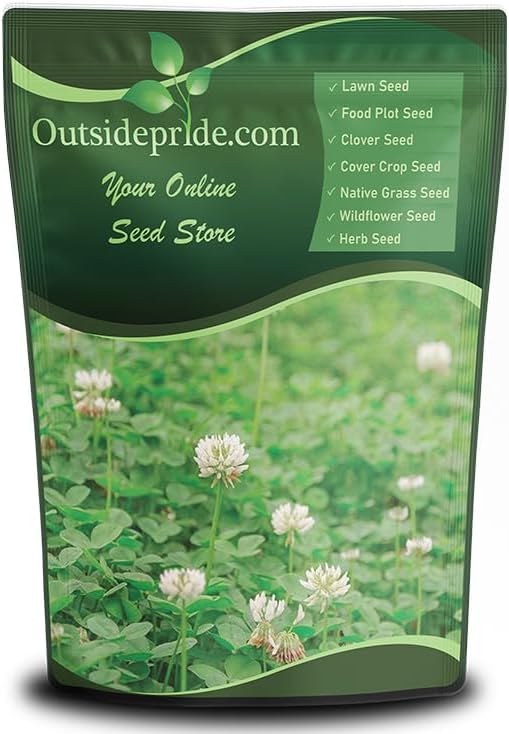 Outsidepride Perennial White Dutch Clover Seed - 10 lbs. Nitrocoated, Inoculated Clover Seeds for Lawn Alternative, Erosion Control, Food Plots, Ground Cover, & Pasture Mixtures in USDA Zones 3-10