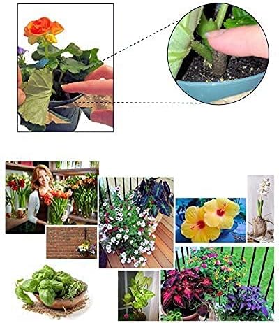 100 EarthPods - Bio Organic Hibiscus Fertilizer Spikes - Plumeria & Bougainvillea - Tropical Plant Food Sticks - Premium Formula - Hand Made in USA