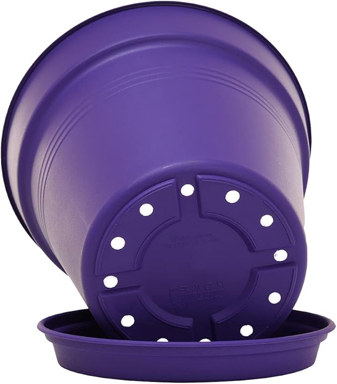 Mintra Home Garden Pots 4pk - Flowers, Herbs, Plants, Indoor, Outdoor, Colorful, Wholesale, Bulk (Purple, 15cm Diameter (5.9in))