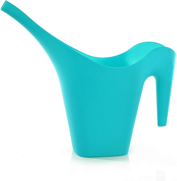 Mintra 1/2 Gallon Plant Watering Can, Indoor Outdoor Water Can for Plants, Long Spout Plastic Water Pitcher for Watering Flower Succulent, Durable and Lightweight, 2L/68 oz, 1 Pack, Teal