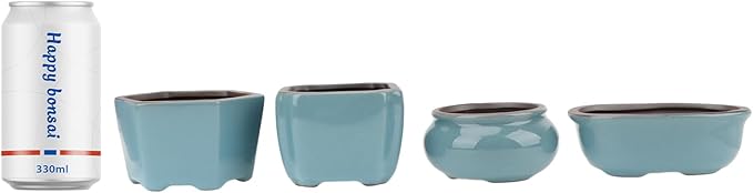 Bonsai Planter Mini Glazed Pots Succulent Value Set of 4, with 4 Soft Mesh Drainage Screens
