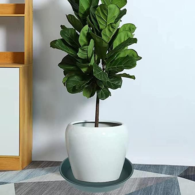 3 Pack of 25 26 inch Plant Saucer (22.7 Inch Base), 4.2" Depth, Large Deep Plastic Flower Planter Water Trays for Indoors Outdoor Bath Bath, Plant Drip Trays for Pot (26", Green)