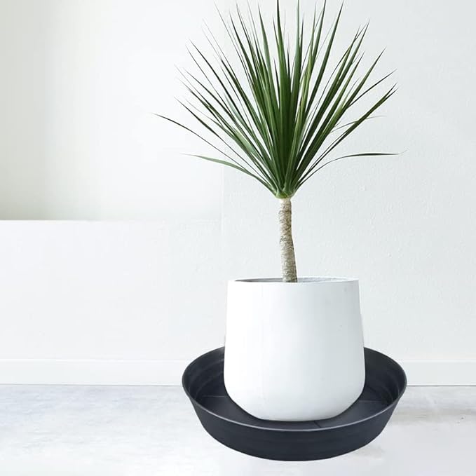 Plant Saucer 12 Inch 2 Pack 10 12 14 16 18 20 25, Plastic Plant Trays for Pots，Extra-Deep Plant Water Dray Tray, Bird Bath Bowl, Heavy Flower Plant Saucers Indoors and Outdoor No Holes