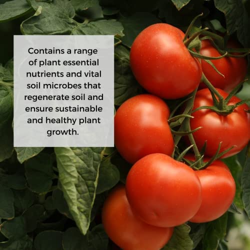 Soil Extract Concentrate - Organic Vermicompost Fertilizer for Fruits & Vegetables - 35 fl oz (Makes 53 gallons)