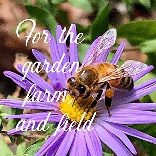 Midwestern Wildflower Seeds Bulk – 5 lb, 3 Million+ Seeds – Native Prairie Wildflower Mix for Midwest USA – Annual & Perennial Pollinator Flower Seed for Garden, Meadow & Landscaping