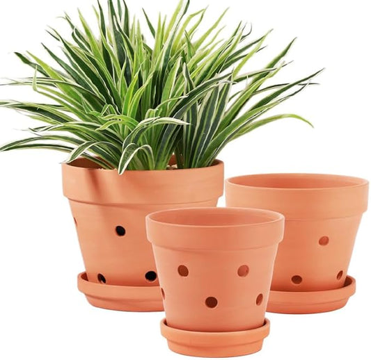 Yishang Terracotta Orchid Pots with Saucer&Holes,Clay Orchid Planter Pots for Repotting,Small Flower Plant Pots for Orchid Indoor or Outdoor Promotes Air Circulation,6 Inch & 7 Inch & 8 Inch,Set of 3