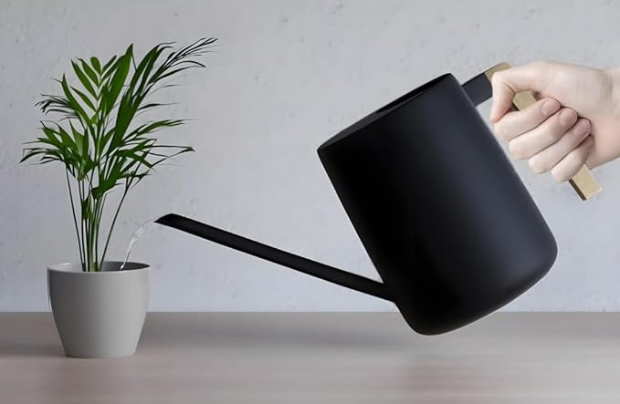 Watering Can for Indoor Plants, 33 oz/1 Liter Metal Stainless Steel Pot with Long Spout for House Plants (Matte Black)