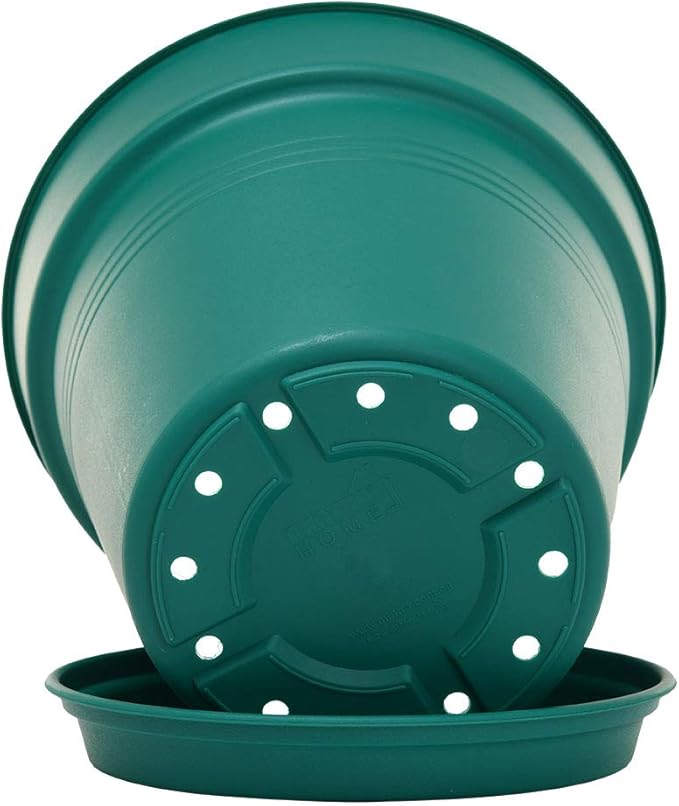 Mintra Home Garden Pots 4pk - Flowers, Herbs, Plants, Indoor, Outdoor, Colorful, Wholesale, Bulk (Forest Green, 13cm Diameter (5in))