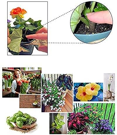 EarthPods® Organic Fruit Tree & Citrus Fertilizer Spikes – 100 Plant Food Capsules - Made in USA