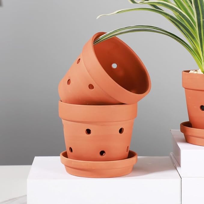 Yishang 4.6 Inch Clay Orchid Pots with Drainage Holes & Saucers - 6 Pack Small Terracotta Planter Pots for Repotting, Plant Flower Pots for Orchid Indoor & Outdoor, Promotes Air Circulation
