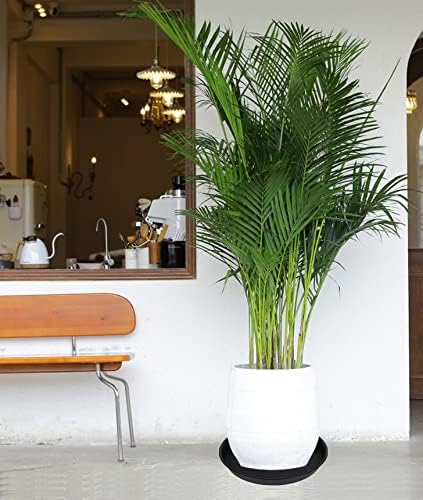 6 Pack of 12 inch Plant Saucer, Heavy Duty Plastic Plant Saucer 12 inch Round, Plant Tray for Pots, Flower Saucers for Indoors, Garden Plate Bowls, Trays for Planter 10"/11"/12" (Black)