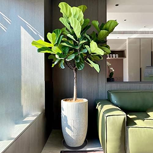 4 Pack of 14 inch Plant Saucer, Heavy Duty Plant Saucer 14 inch Round, Plastic Plant Water Tray for Pots, Plant Saucers for Indoors, Bird Bath Bowls, Pot Trays for Planter 12"/13"/14" (Black)