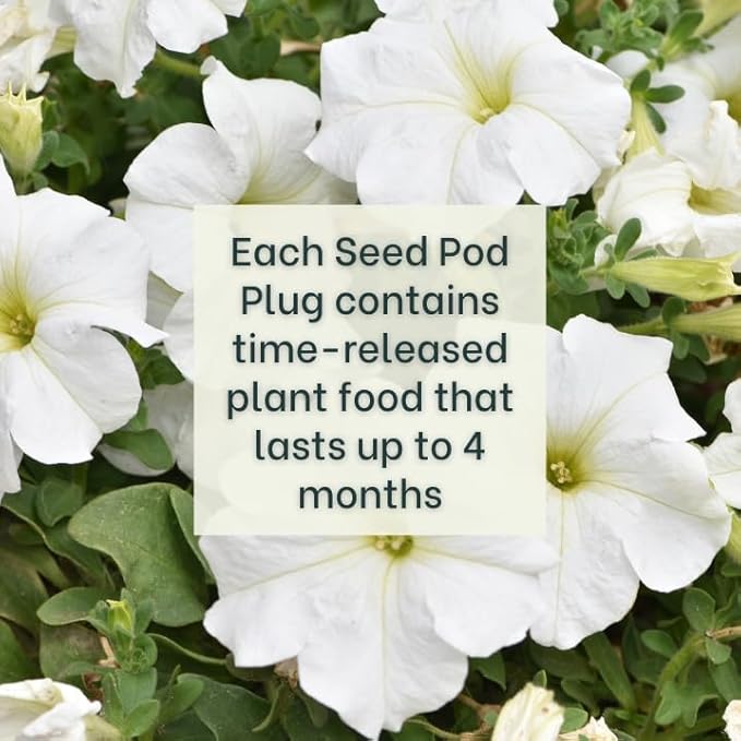 Blue Petunia - Complete Seed Pod Plugs with Plant Food - 10 Pods for Hydroponic Gardens, Click and Grow, Lettuce Grow and Outdoor Gardens