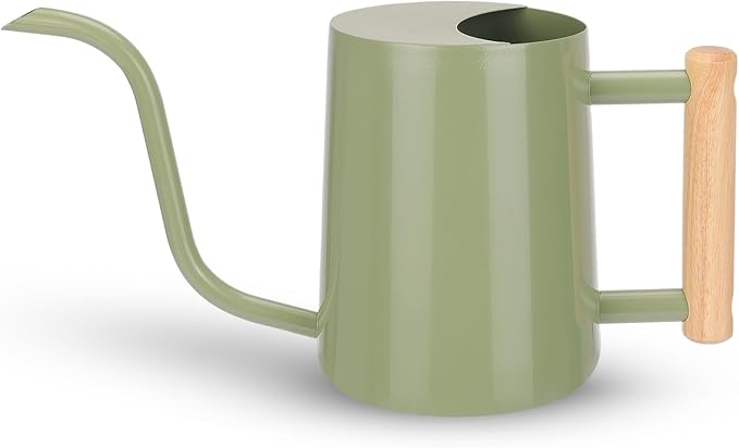 CEWOR Sage Green 35 Oz Metal Watering Can with Long Spout for Indoor & Outdoor Plants