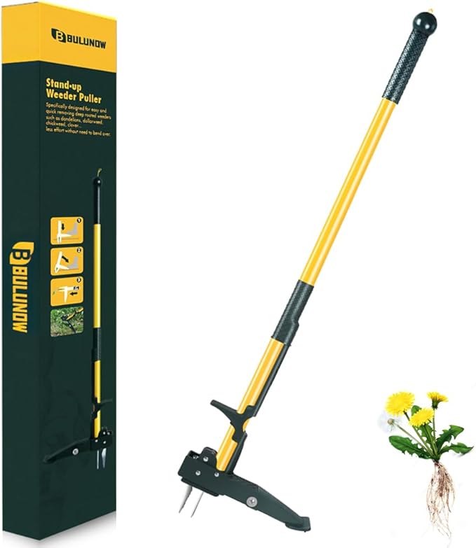 Weed Puller Tool, 50IN Long Handle 4 Claws Stand Up Weeding Tool, Extra Thickened Stainless Steel Shaft Garden Weeder,Remove the Roots of Thistles, Crabgrass, Dandelions, and Blackberries, etc.