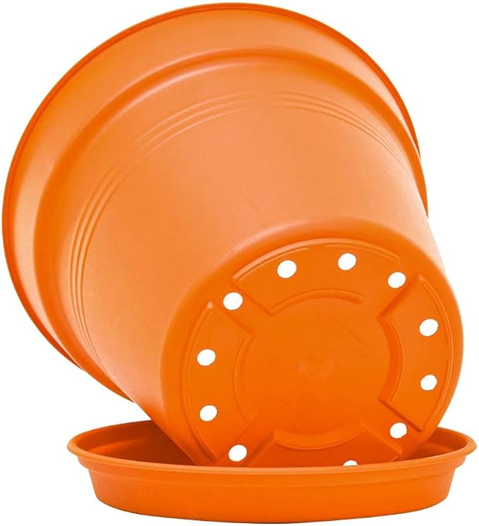 Mintra Home Garden Pots 4pk - Flowers, Herbs, Plants, Indoor, Outdoor, Colorful, Wholesale, Bulk (Orange, 15cm Diameter (5.9in))