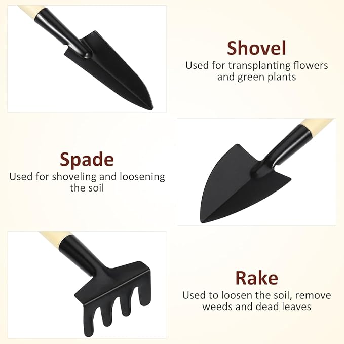 BESPORTBLE 6PCS Mini Garden Tools Set - Succulent Shovel - Miniature Shovels for House Plants for Bonsai Gardening Ideal Mini Tools for and Adults