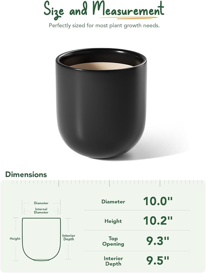 LE TAUCI 10 Inch Plant Pot, Ceramic Pots for Plants with Drainage Hole and Rubber Plug, Plant Pots Indoor for Olive Tree, Cylinder Planter Pot for Home Patio Office, Black