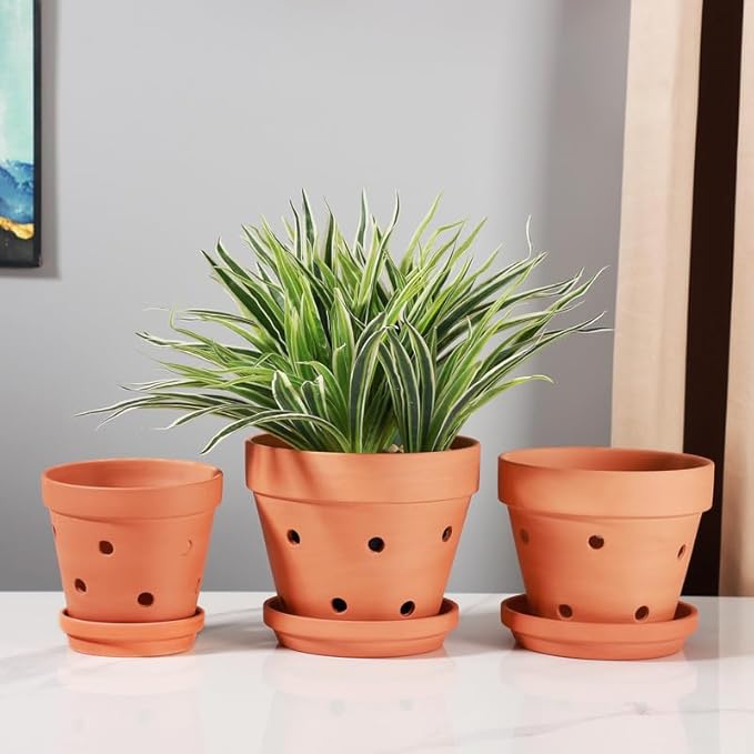Yishang Terracotta Orchid Pots with Saucer&Holes,Clay Orchid Planter Pots for Repotting,Small Flower Plant Pots for Orchid Indoor or Outdoor Promotes Air Circulation,6 Inch & 7 Inch & 8 Inch,Set of 3