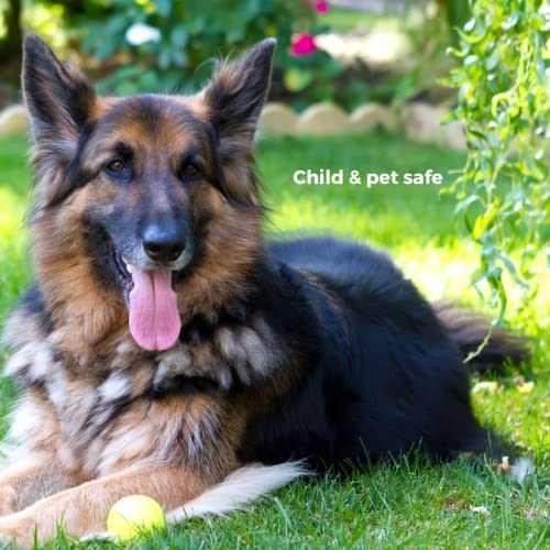 Soil Extract Concentrate - Organic Vermicompost Fertilizer for Fruits & Vegetables - 35 fl oz (Makes 53 gallons)