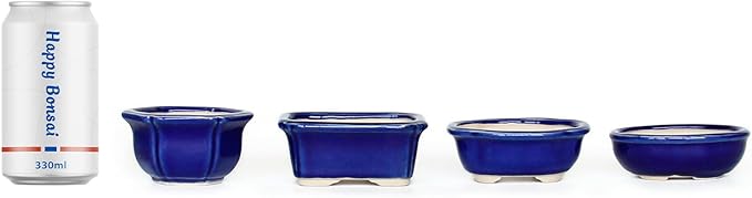 Bonsai Planter Succulent Mini Glazed Pots Value Set of 4, with 4 Soft Mesh Drainage Screens