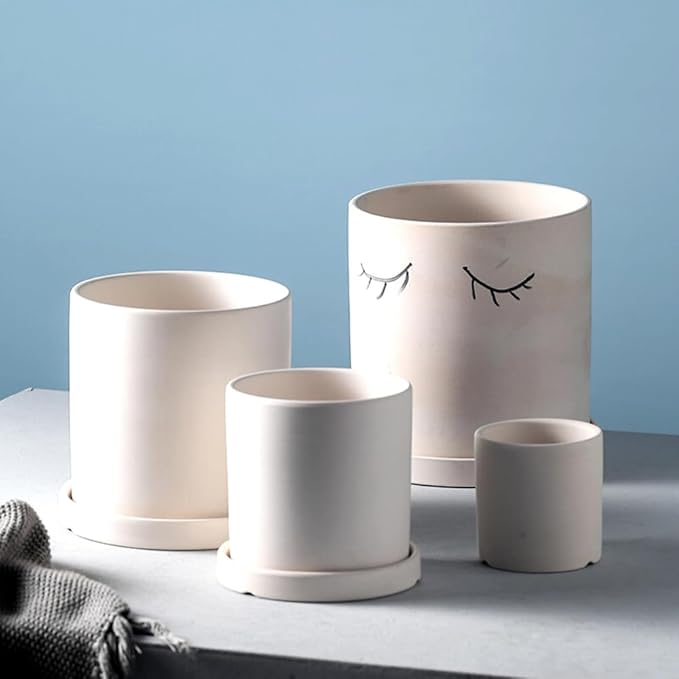 Braque Ceramic Plant Saucer 6.3 Inch, 2 Pack Round Matte White Flower Plant Saucers for Holding Water Drips and Soil, Ceramic Drainage Tray for Plant Pots, Include Silicone Feet Protect Surface