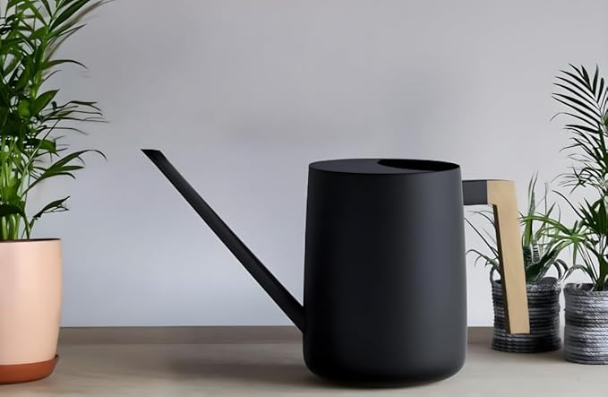 Watering Can for Indoor Plants, 33 oz/1 Liter Metal Stainless Steel Pot with Long Spout for House Plants (Matte Black)