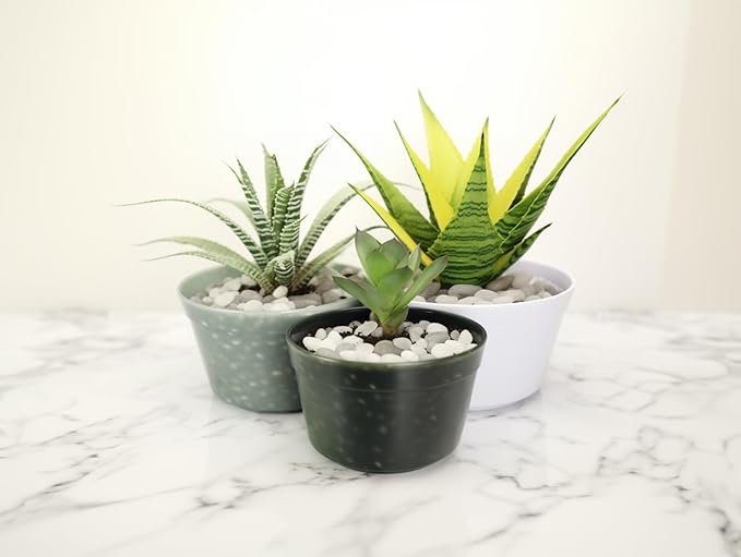 12 LBS River Rocks, StoneCreek, Decorative Garden Stones for Plant Landscaping, Polished Gravel Filler Pebbles for Home Decoration, Vases, Succulents, Flower Beds and Fish Tanks (White, Medium)