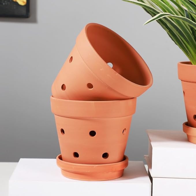 Yishang 5.5 Inch Clay Orchid Pots with Drainage Holes & Saucers - 6 Pack Small Terracotta Planter Pots for Repotting, Plant Flower Pots for Orchid Indoor & Outdoor, Promotes Air Circulation