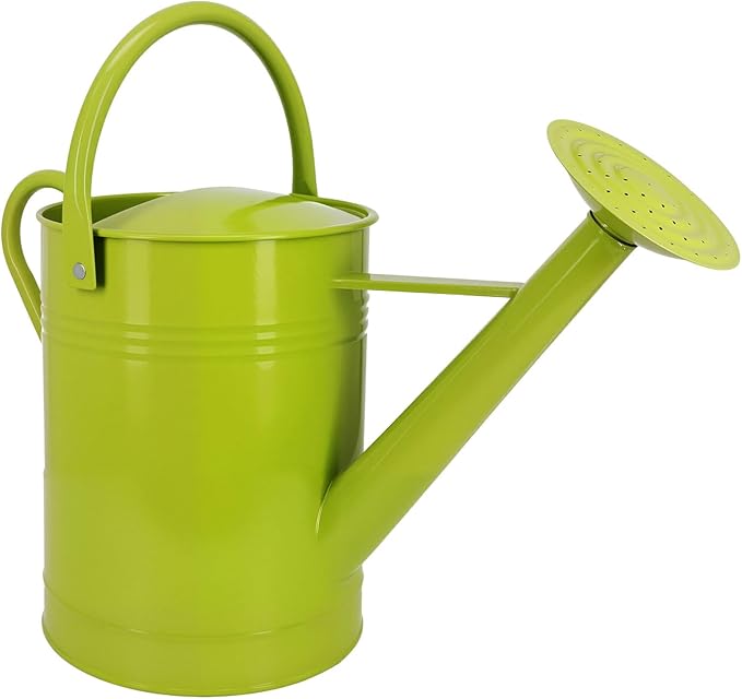 Galvanized Iron Watering Can for Indoor Plants, DIY Watering Cans for House Plant Garden Flower, Long Spout Water Can for Outdoor Watering Plants 7.57L 2 Gallon (Green)