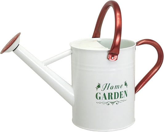 Metal Watering Can for Outdoor Plants, Galvanized Steel Watering Can with Removable spout, 1 Gallon,Perfect Home & Garden Décor White
