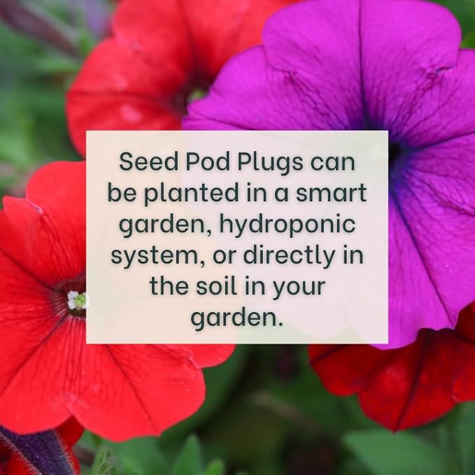 Blue Petunia - Complete Seed Pod Plugs with Plant Food - 10 Pods for Hydroponic Gardens, Click and Grow, Lettuce Grow and Outdoor Gardens