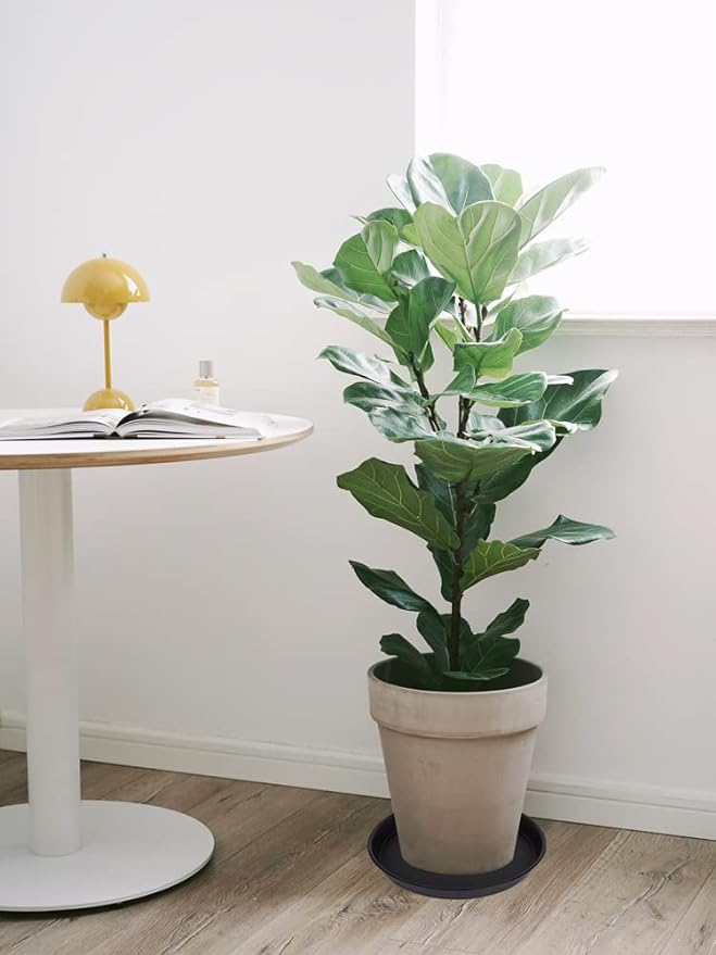 4 Pack of 16 inch Plant Saucer (13.5" Base), Heavy Duty Plastic Plant Tray for Pots, Flower Water Trays for Indoors, Bird Bath Bowls, Plant Drip Saucers for Planter 14"/15"/16" (Black)