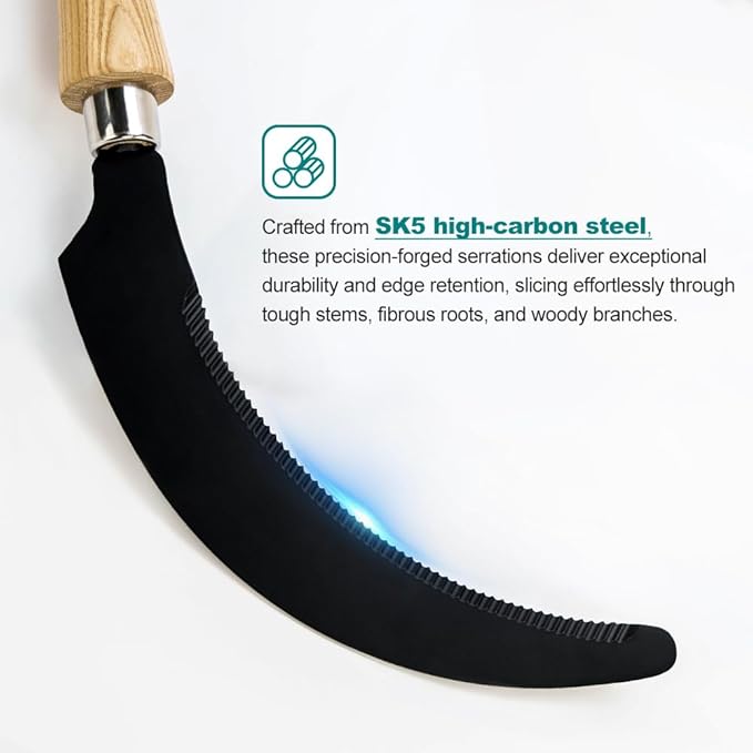 Berry&Bird Grass Sickle with Sawtooth, Heavy Duty SK5 Carbon Steel Blade Sickle Knife Scythe Garden Tool, Brush Clearing Sickle Weeding & Harvesting Tool for Gardeners/Farmers - Ashwood Handle