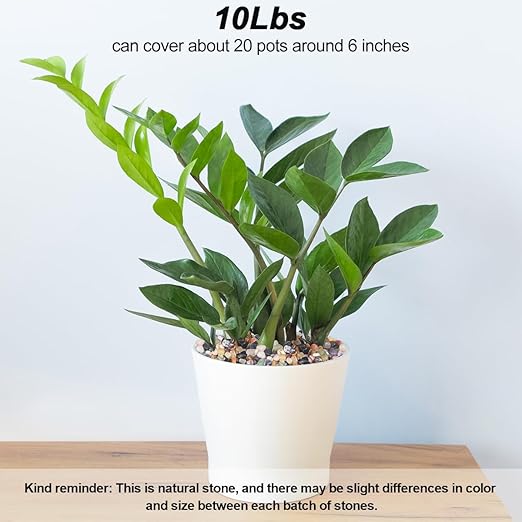 Vase Filler,Landscaping Pebbles, River Rocks Decorative Ornamental Pebbles, DIY Smoothed Rocks for Potted Plant Resin Art Vase Fillers Aquarium Gravel Rocks (Mixed Color, 5 Pounds)