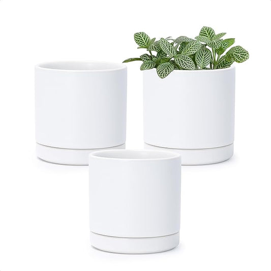 D'vine Dev Set of 3 Plants Pots, 3.5 Inch Ceramic Planter Pot for Plants with Drainage Hole and Saucer, White, 94-N-A-1