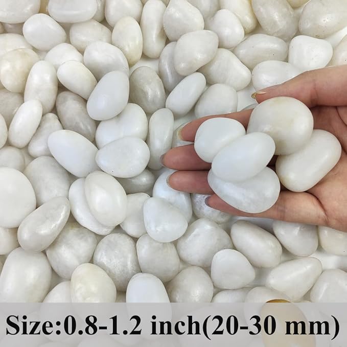 2 lbs Small White Pebbles for Plants, 0.8-1.2 inch Decorative River Rocks for Plants, Aquariums, Landscaping. White Stones for Planter Vase and Outdoor Garden Rocks