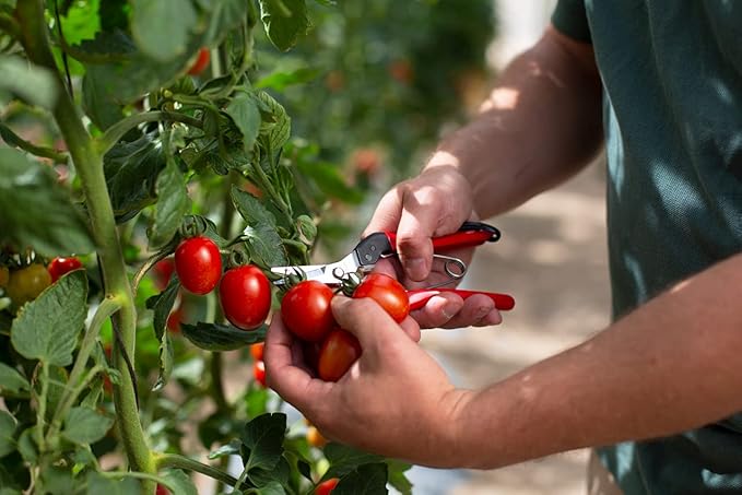 Felco F321 Pruning Snips – 7" Swiss-Made Garden Clippers with Curved Blade & Rounded Tip | Pruning Shears for Gardening | Garden Snips and Pruners with Carbon Steel Blade, Sap Groove