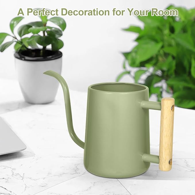 Watering Can Indoor Plants, 35 oz/1000 ml Metal Stainless Steel Watering Can Pot with Long Spout for Indoor House Plants Bonsai Outdoor Garden Flower Decorative (Sage Green)