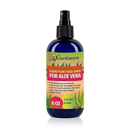 Professional Aloe Vera Superfood Spray Mist for Home Gardening | Micro-Fungi Enriched Fertilizer Mist for Healthy Leaves & Growth | 18 Essential Vitamins & Minerals for Aloe Vera - 8oz