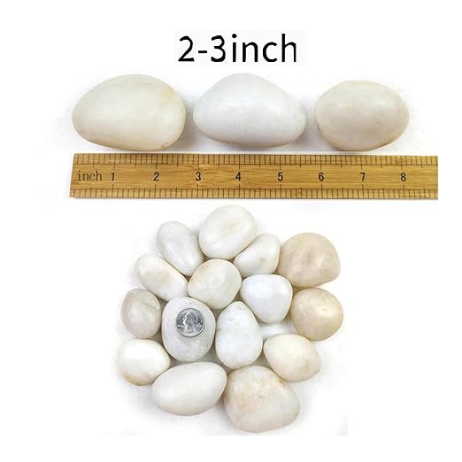 20LB White River Rocks - 2-3 inch High Polished Decorative Pebbles, Stones for Landscaping, Natural River Rocks for Outdoor Décor, Plants,Vase Filler,Fish Tank